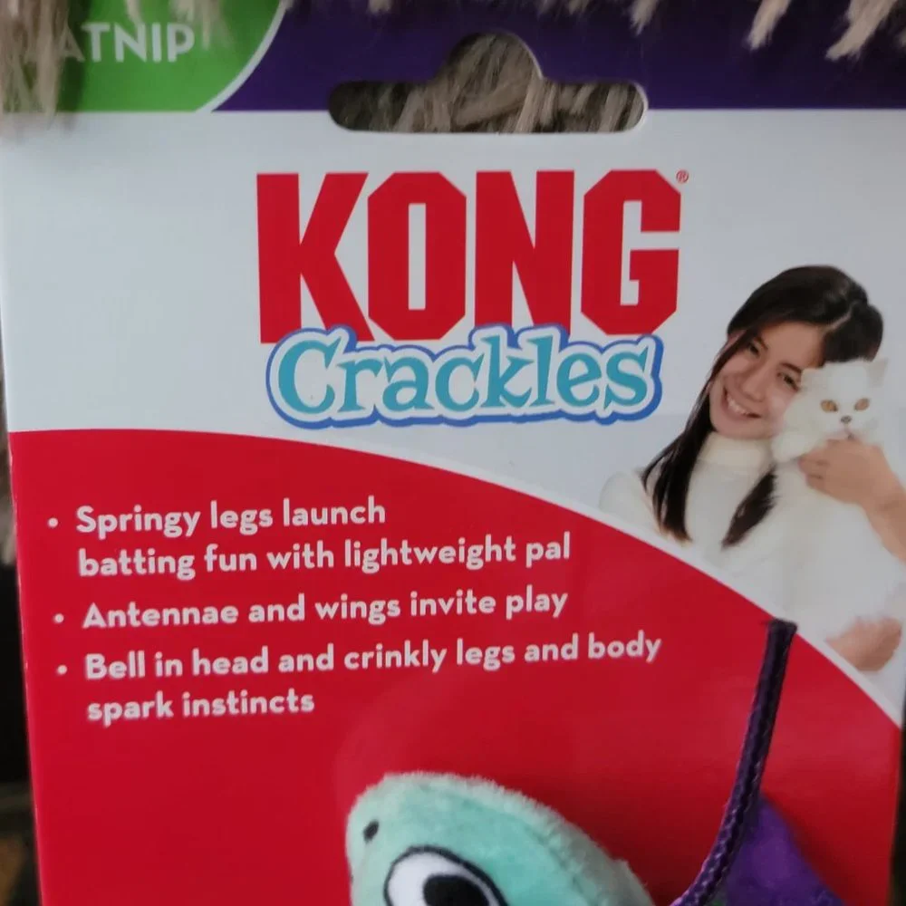 Kong cat grasshopper